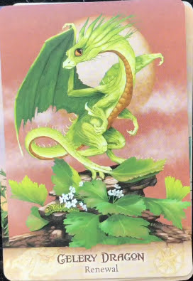 Field Guide to Garden Dragons